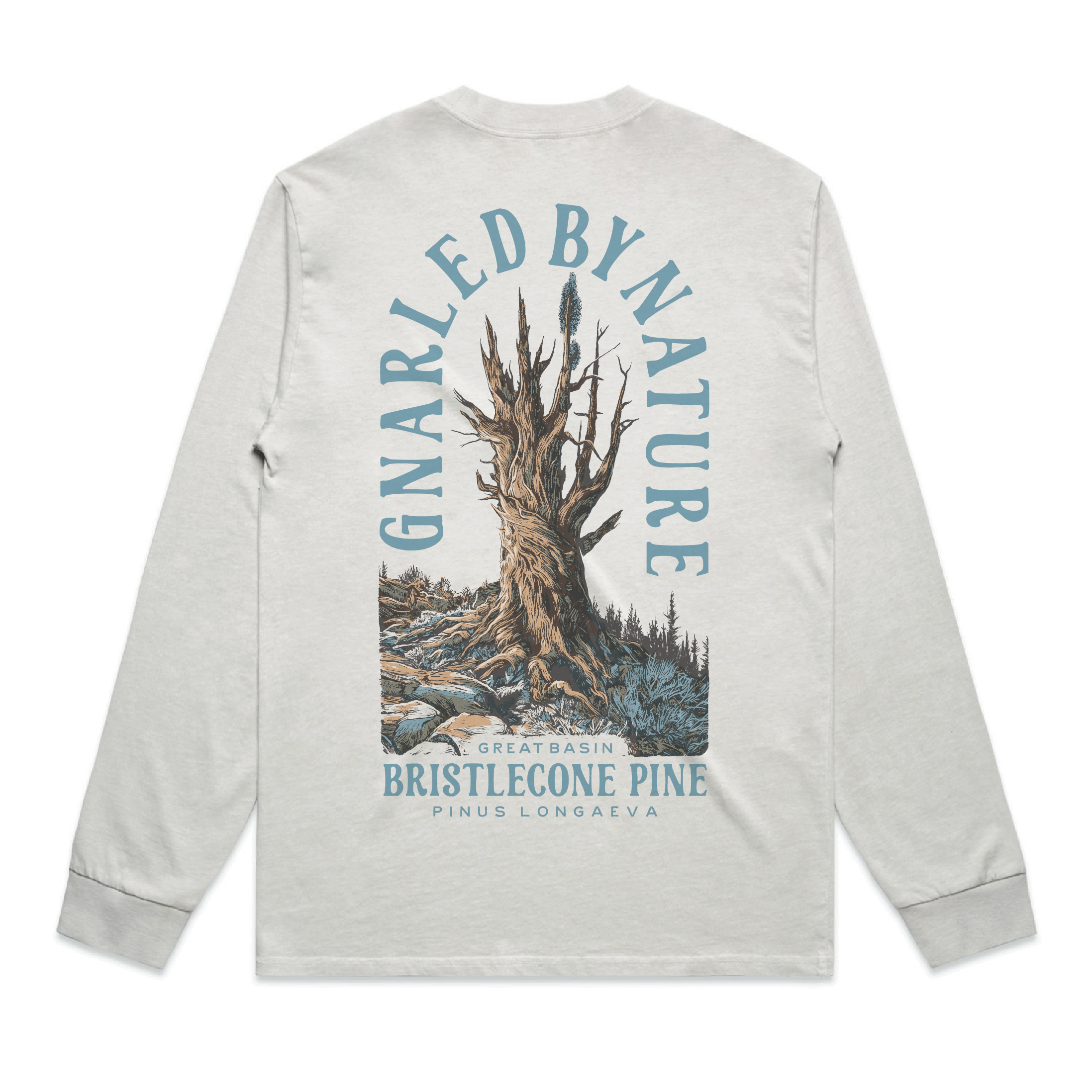 Bristlecone - PRESALE